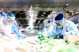 山西海玉园食品公司生产车间 工人们在各自的岗位上忙碌图片