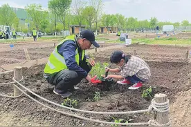 到太原植物园，体验现实版的“开心农场”图片