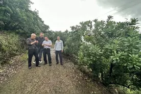 紧急提醒！浙江已发生一起！小心近期高发图片