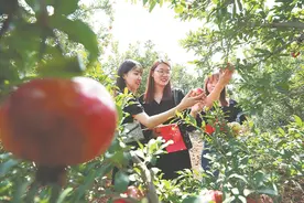 老矿区向“旅”而兴图片