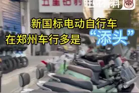 新国标已实施，郑州多家门店称：新国标电动自行车市场接受度不高图片