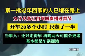第一批过年回家的人已堵在路上，女子从浙江自驾回贵州过春节，开车20多个小时只走了一半。当事人：还好走得早，再晚两天可能会更堵，基本都是车祸拥堵图片