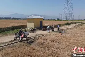 （乡村行·看振兴）抗旱保苗 山西闻喜复播玉米“喝上”出苗水图片