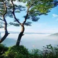 福鼎这里藏着一座“四季画廊”……