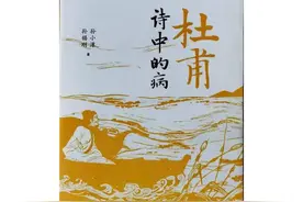 《杜甫：诗中的病》：不明觉厉与明而觉厉齐飞图片