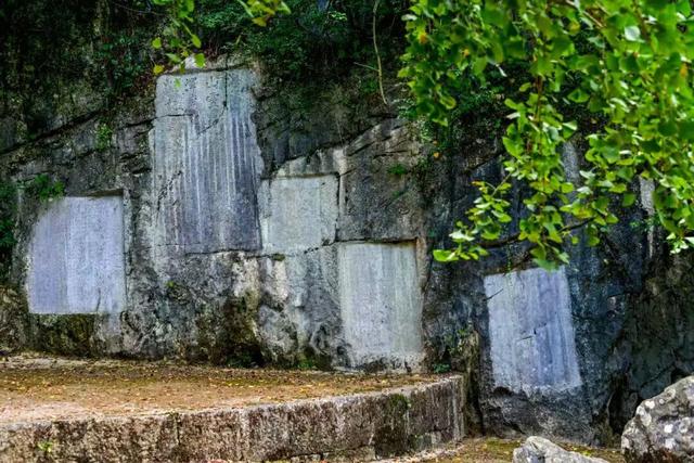 千年银杏韵，金黄满地诗，金色海洋游玩攻略来了！