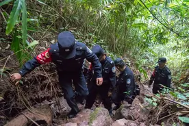 云南基诺山：雨林深处有“富矿”图片