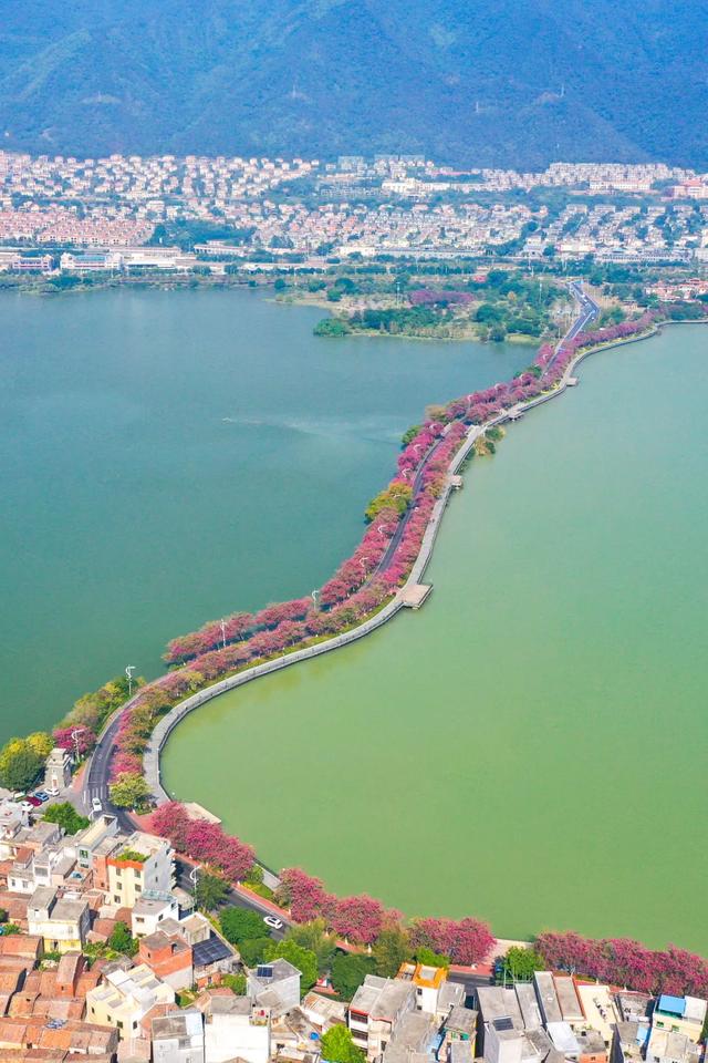 看比赛,游星湖!免票福利加码放送→