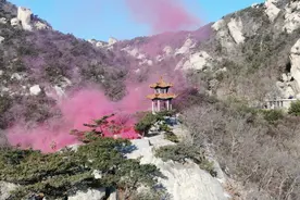 五地消防联动，合力灭“山火”！这场跨区域实战演练在烟台举行图片