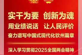 2024年度县（区）党委书记和有关工委（党委、党组）书记落实党风廉政建设主体责任述责述廉评议会召开图片