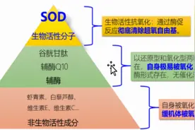 基因编辑技术赋能生物酶革新 济宁医学院团队研发新型SOD打破国际垄断图片