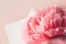 河南多家景区母亲节半价、免门票→图片