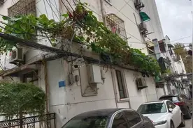 主题教育丨架空线上“长”葫芦，“顺藤摘瓜”除隐患图片