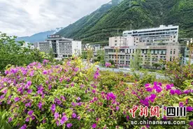 雅安石棉：花开小城春意浓图片