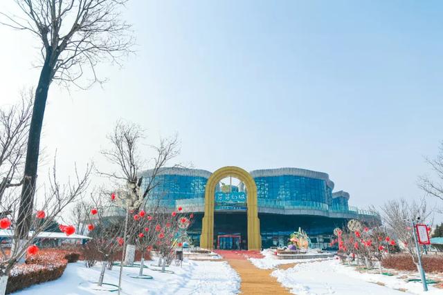 四季皆景，期待重逢！