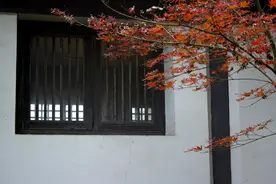 迟暮光阴复若何图片