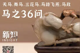 马之36问：天马，舞马，三花马，马踏飞燕，马政｜新知图片