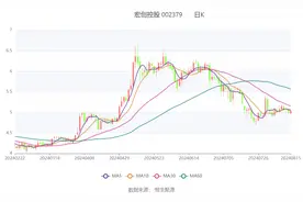 宏创控股：2024年上半年亏损1845.25万元图片