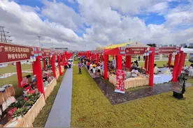 智慧农机装备展成现场亮点！广州系列活动庆祝中国农民丰收节图片