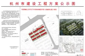 丁桥低密宅地规划出炉，紧邻桃花湖，容积率1.5图片