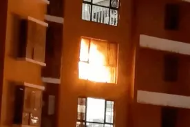 教科书式自救！9岁小女孩带着5岁弟弟成功逃生图片