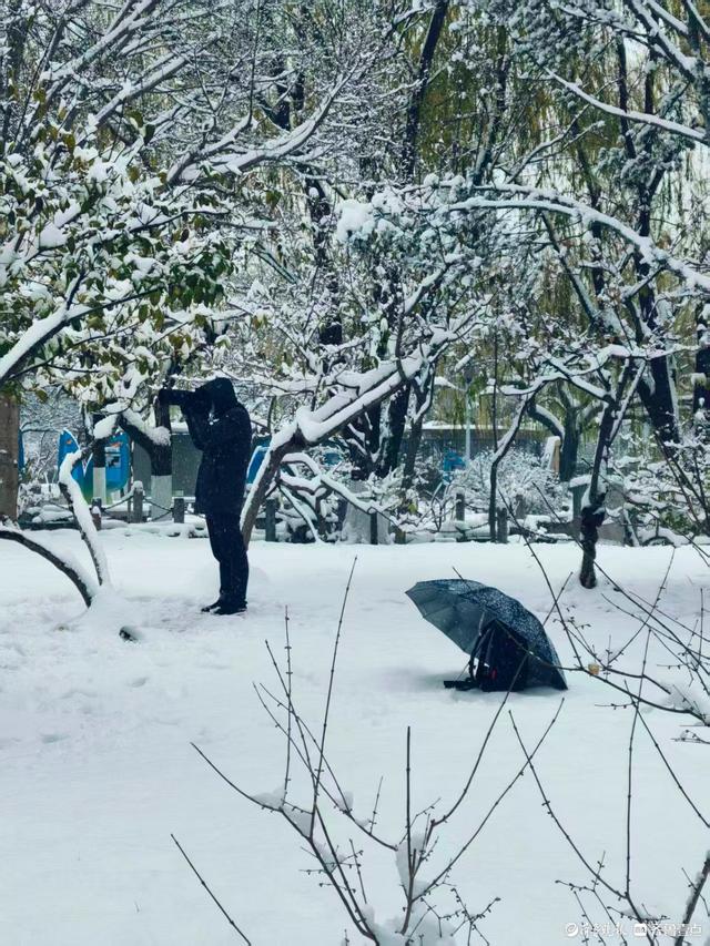 雪中泉城公园美不胜收