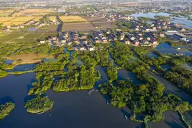 100吨青鱼干陆续出货！杭州这里的鱼，为啥这么香？图片