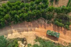 跨昼夜实弹射击，火力全开！图片