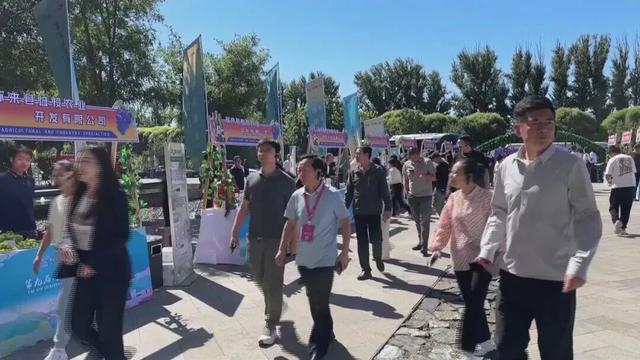 聚焦第九届河北省旅游产业发展大会张家口分会场|张家口怀来世界葡萄酒之窗葡萄酒嘉年华开启