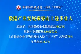 新华社权威速览·非凡“十四五”丨“数字中国”的这些数据，激动人心！图片