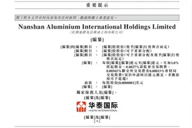 南山铝业子公司将赴港IPO图片