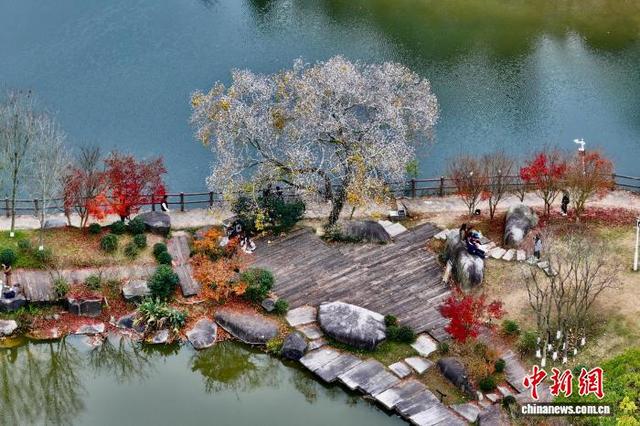 福建福州：乡村美丽冬景引游人