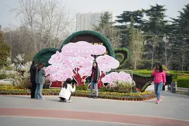 70多个品种、万余株海棠盛放！周末碧沙岗公园约起来图片