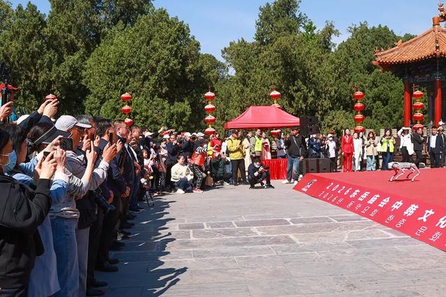 2026泰山东岳庙会焕新开幕 主题活动精彩纷呈嗨翻五一