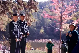 香山公园进入彩叶最佳观赏期 北京海淀警方多举措守护游客平安图片