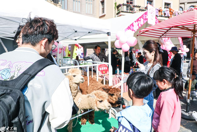 繁花、市集、音乐……青岛红树林度假世界清明小长假打造春日浪漫休闲之旅