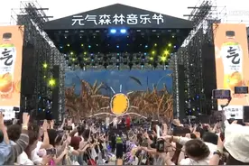 第二届元气森林音乐节落幕，超3.4万乐迷共聚马銮湾嗨唱图片