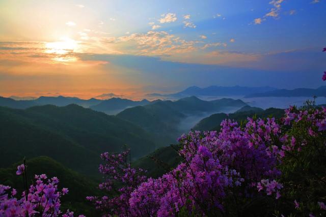 赏花踏青正当时 用一场ColorWalk邂逅浙江春日浪漫