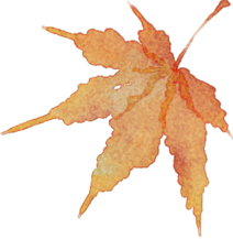 "我还要再来！"这个项目，98%的人去了都不想回家