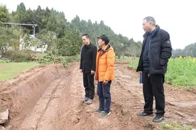 四川大英：四个专项组全流程监督 护航高标准农田建设图片
