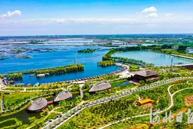 白洋淀景区5月1日起正式开放图片