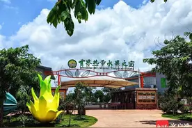 海南鲜品｜一天吃遍世界热带水果图片