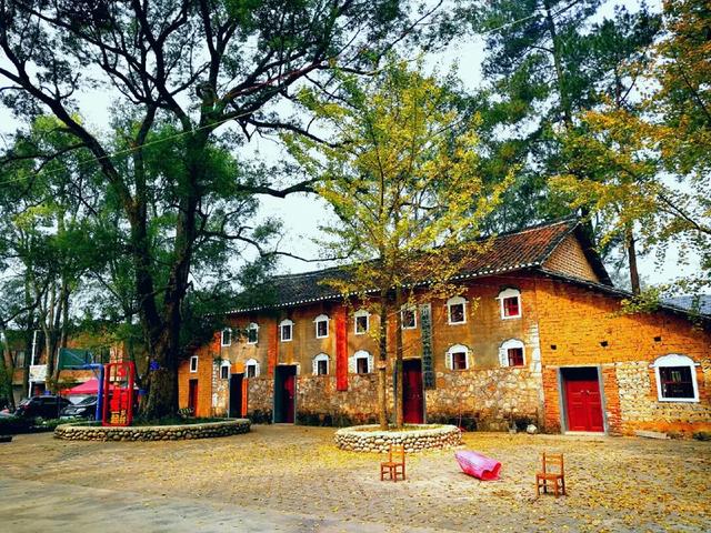 千年银杏韵，金黄满地诗，金色海洋游玩攻略来了！