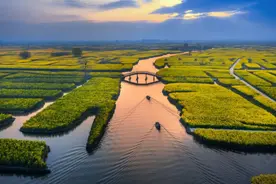 “国字号”为何青睐江苏兴化？图片