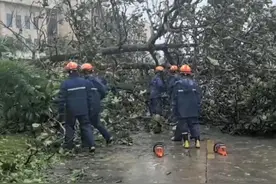台风“潭美”致三沙永兴岛海水倒灌树木倒地 消防紧急救援图片