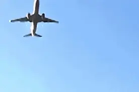 1只麻雀≈1颗炮弹，防止“飞鸟撞机”可以做些什么？图片