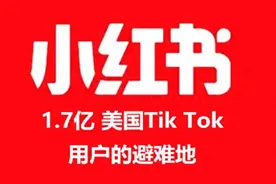 1.7亿“TK友人”涌入小红书，台自媒体人：将会有无数“李子柒”图片