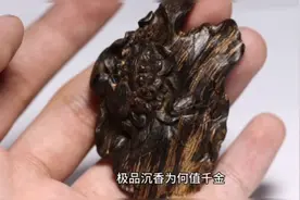 新知｜一克沉香万两金！“四大名香”之首的沉香有何来头图片