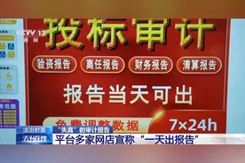 触目惊心！数据随意编、一天出报告……起底“失真”审计报告图片