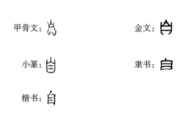 为什么“自”字最初的意思是“鼻子” | 汉字里的文化图片